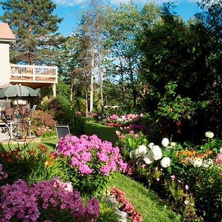 Gite Au Pied Du Courant De Gilbert Desjardins Mont-Laurier Luaran gambar